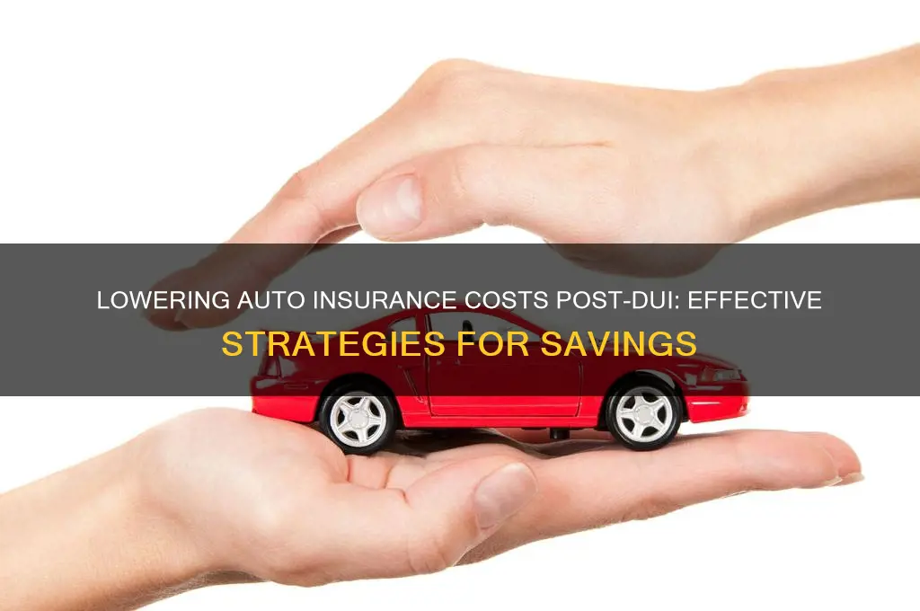 how to lower insurance after dui