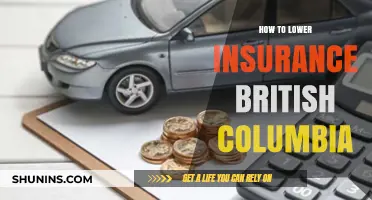 Lower Your BC Insurance Premiums: Smart Tips for British Columbians