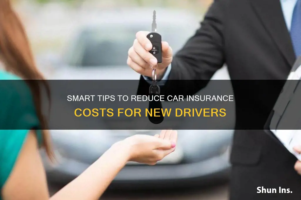 how to lower insurance for first time drivers