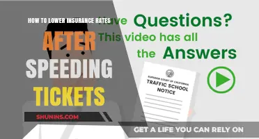 Lower Insurance Rates: Post-Speeding Ticket Strategies