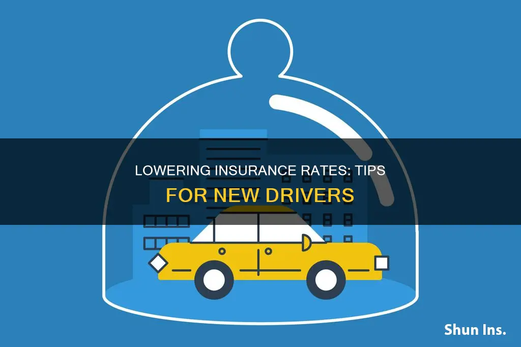 how to lower insurance rates for new drivers