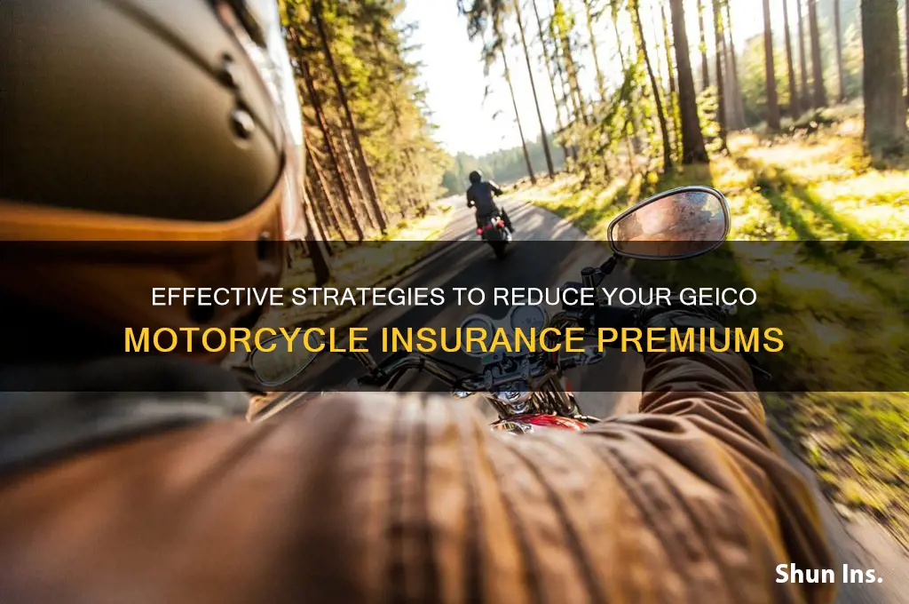 how to lower motorcycle gieco insurance