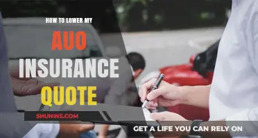 Effective Strategies to Reduce Your Auto Insurance Quote and Save Money