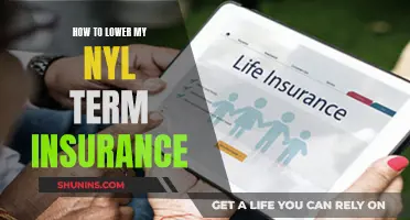 Minimizing the Cost of Nylon-Term Insurance: Strategies for Savvy Consumers