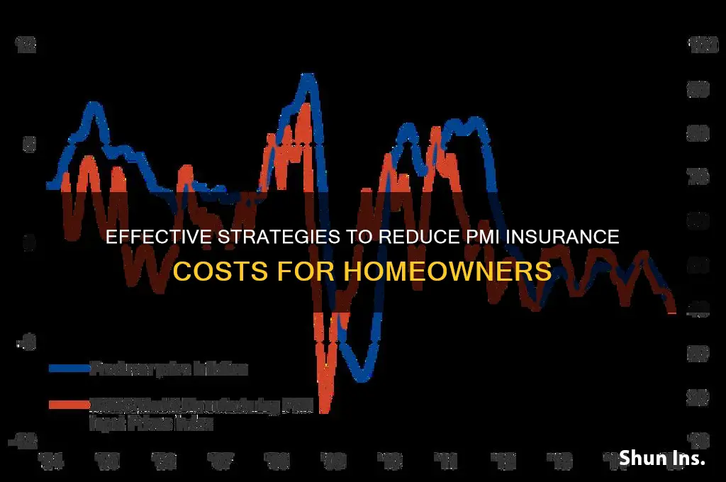 how to lower pmi insurance