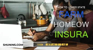 Lowering State Farm Home Insurance: Tips to Save
