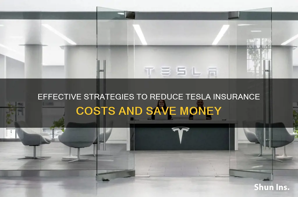 how to lower tesla insurance