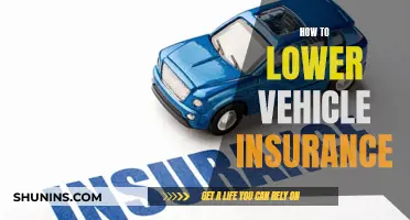 Lower Vehicle Insurance: Discounts and Deductibles