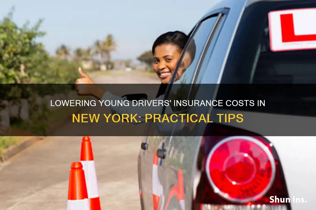 how to lower young drivers insurance new york