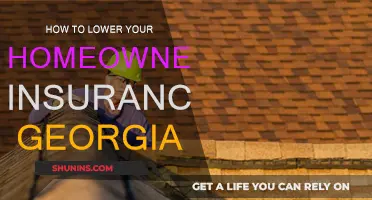 Lowering Home Insurance Costs in Georgia: A Guide