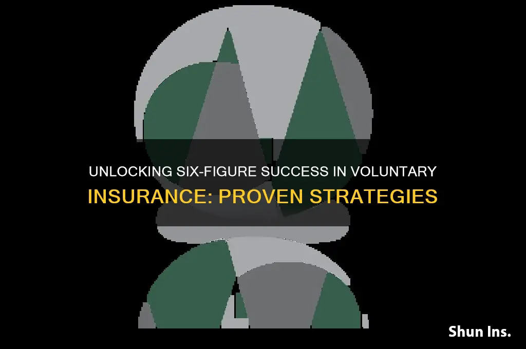 how to make 100k a year in voluntary insurance buisness
