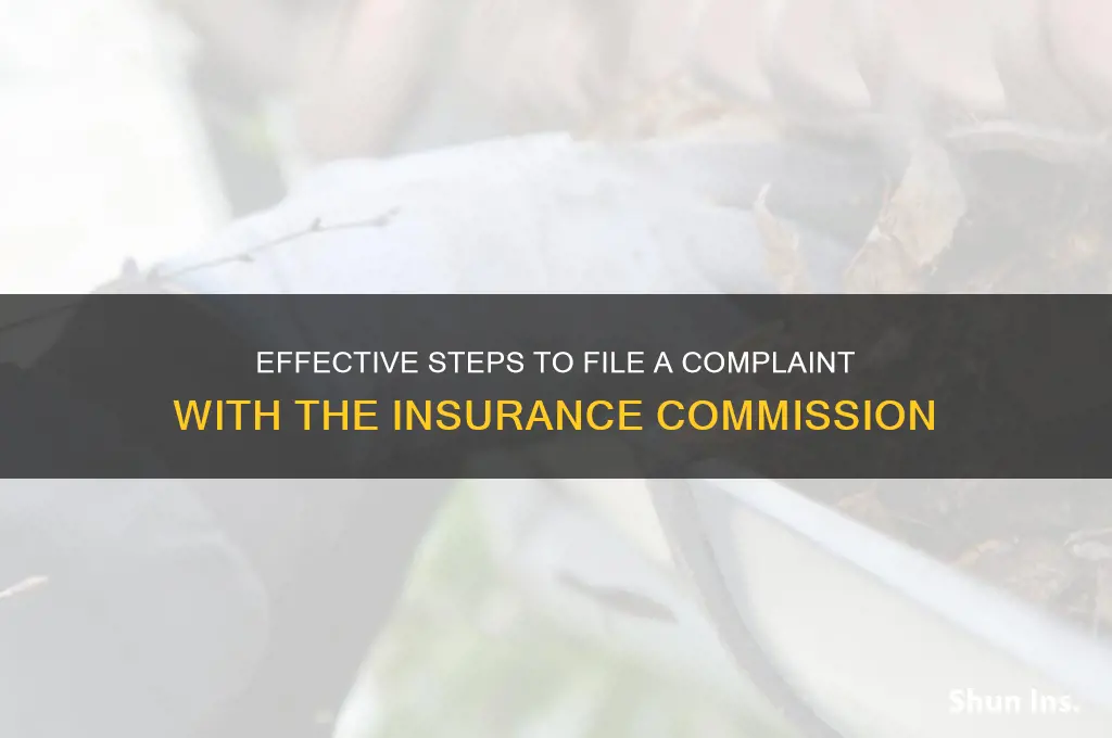 how to make a complaint to the insurance commission