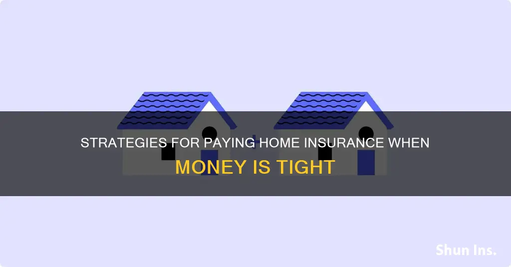 how to make a house insurance payment with no money