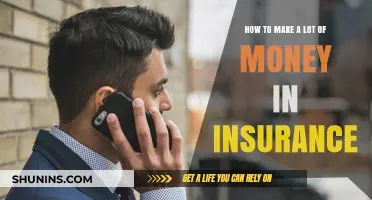 Maximizing Insurance Earnings: Strategies for Financial Success