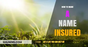 Securing Your Property: A Step-by-Step Guide to Becoming the Name Insured