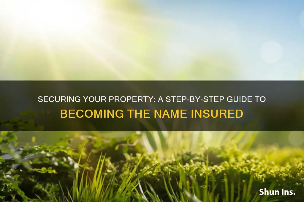 how to make a name insured