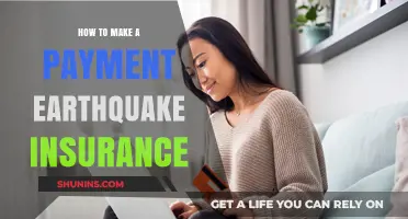 Protect Your Property: Earthquake Insurance Payment Guide