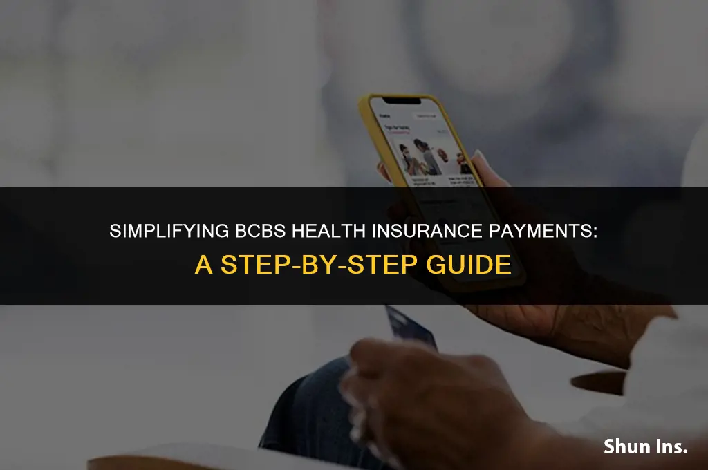 how to make a payment for bcbs health insurance