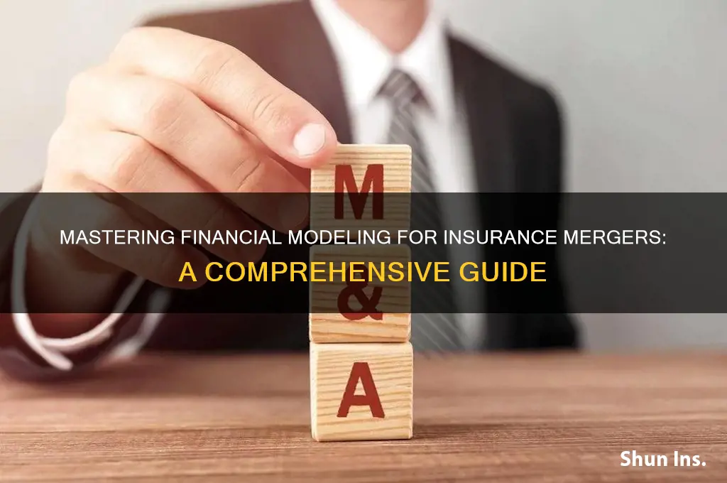 how to make an financial model for insurance murger