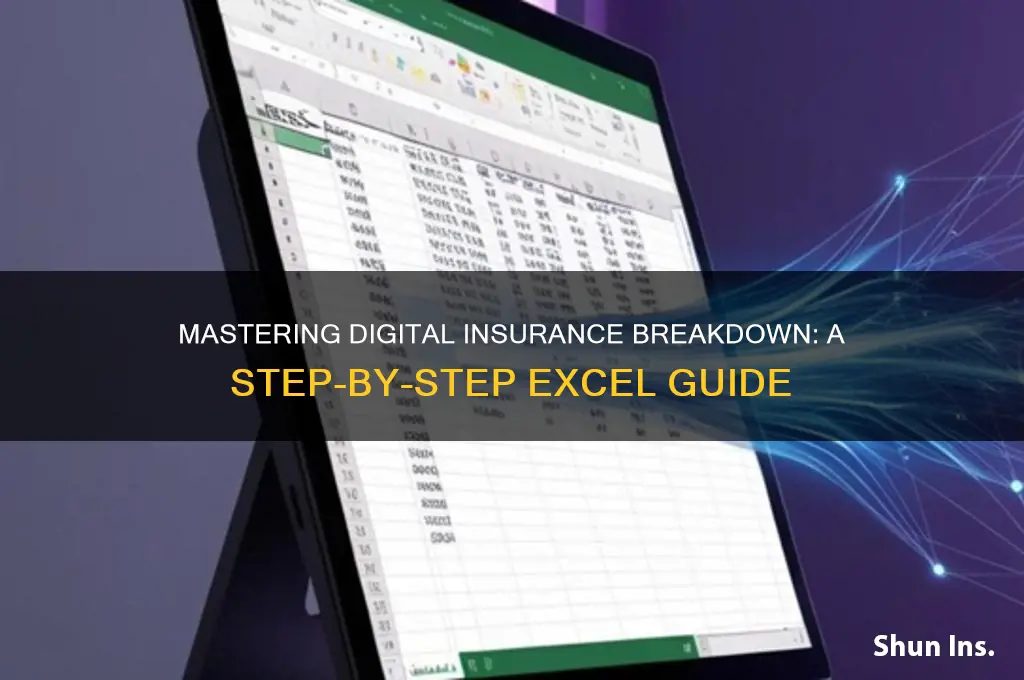 how to make digital insurance breakdown xls