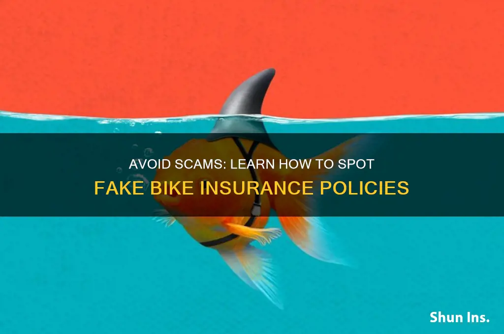 how to make fake bike insurance