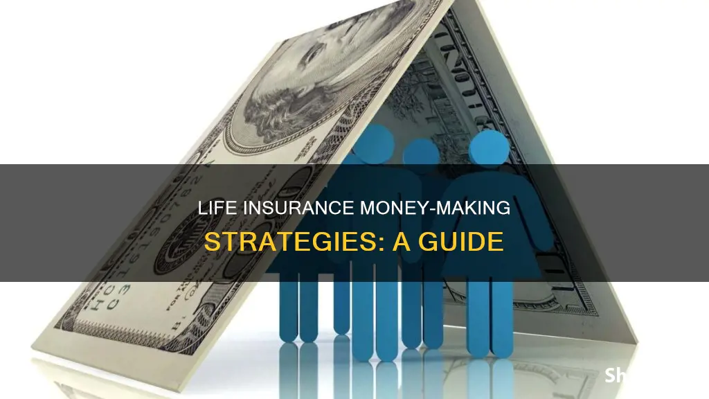 how to make money from life insurance