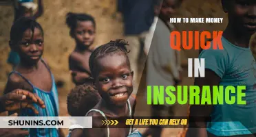 Quick Money Strategies in the Insurance Industry