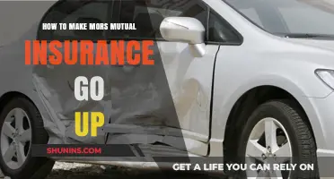 Maximizing Mors Mutual Insurance Claims for Maximum Benefits