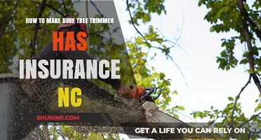 Ensure Your NC Tree Trimmer Has Insurance: A Safety Guide