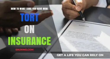 Ensure Mini Tort Coverage: A Guide to Michigan Auto Insurance