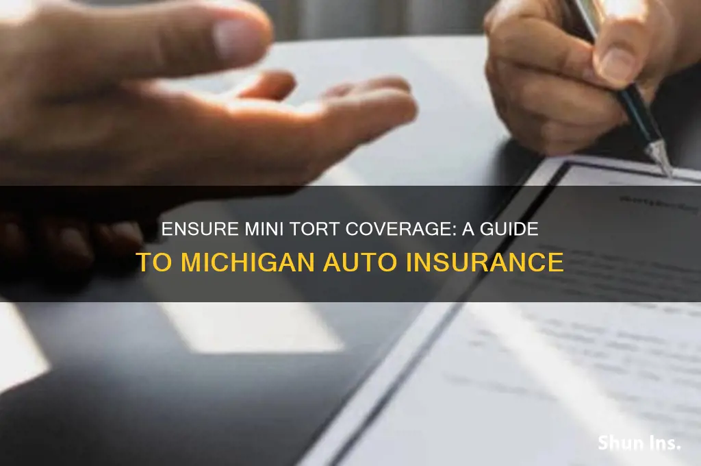 how to make sure you have mini tort on insurance