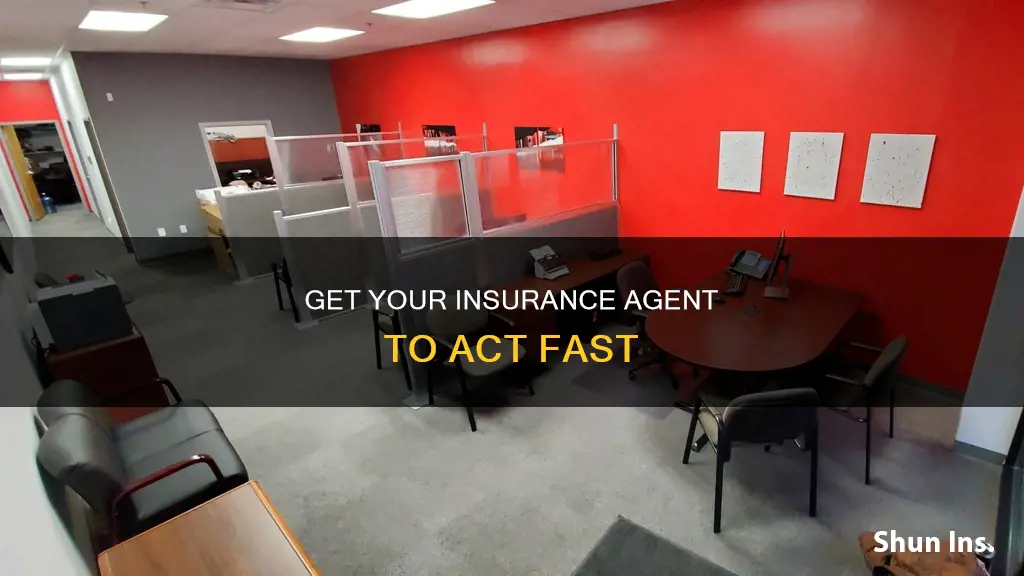 how to make your insurance agent to move things fast