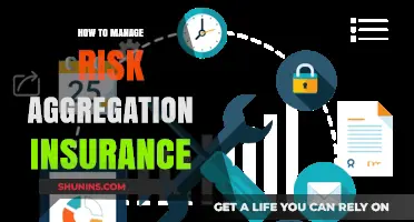 Managing Risk Aggregation: Strategies for Insurers