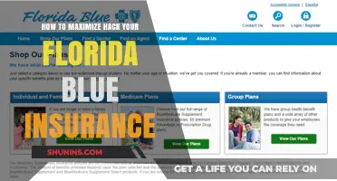Maximizing Your Florida Blue Insurance: Strategies for Success