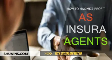Strategies for Insurance Agents to Maximize Their Profits
