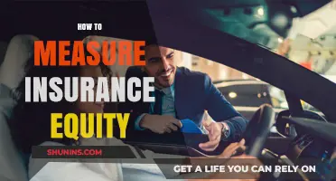 Measuring Insurance Equity: Strategies for Fairness and Financial Balance