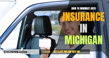 Minimizing Auto Insurance Costs in Michigan: Tips and Tricks