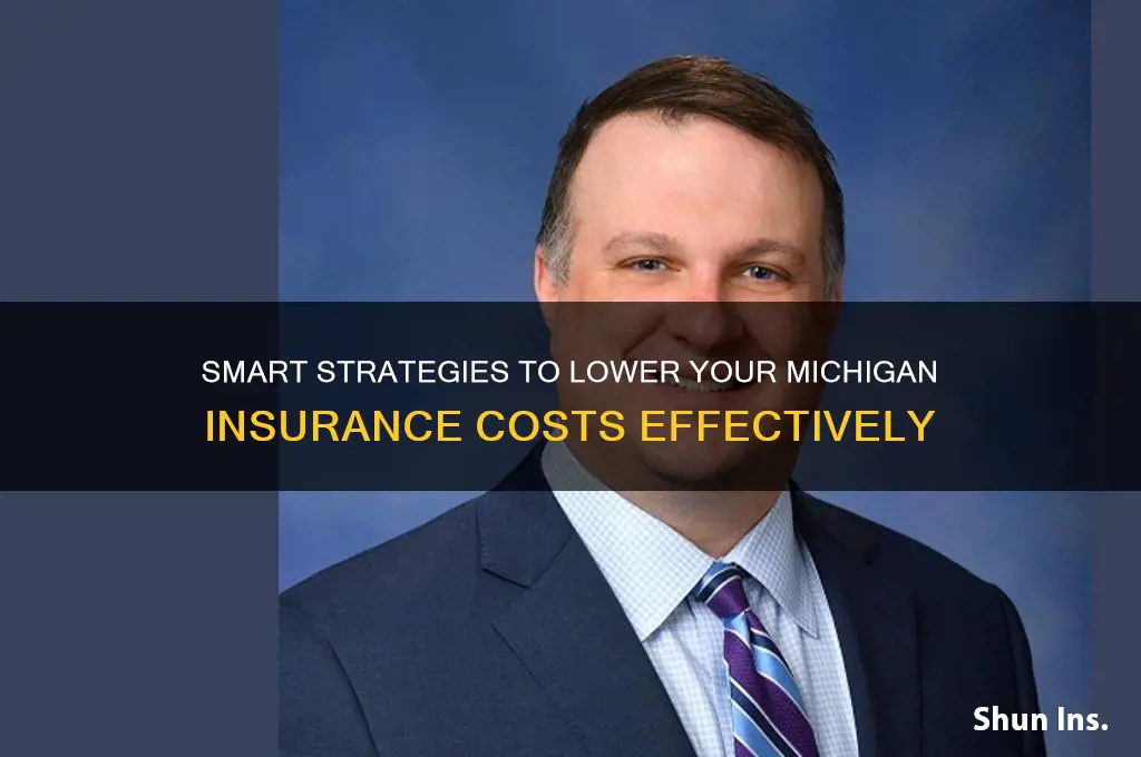 how to minimize insurance in mcihiagn