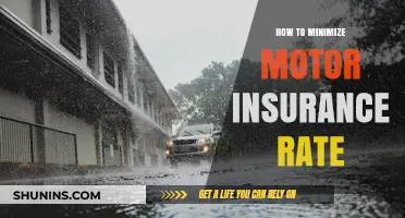 Minimizing Motor Insurance Rates: Tips to Save Money
