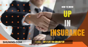 Climbing the Insurance Ladder: Strategies for Career Advancement and Success