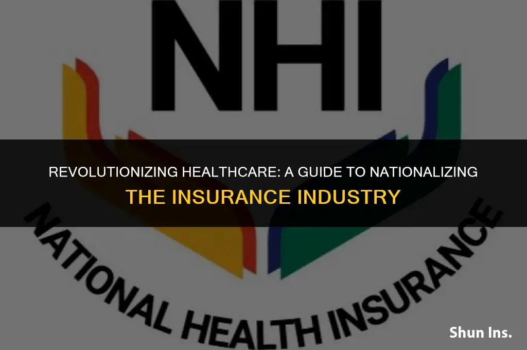 how to nationalize the health insurance industry