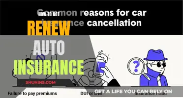 Auto Insurance: When Not to Renew Your Policy