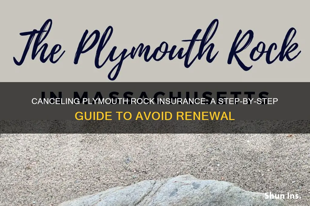 how to not renew plymouth rock insurance