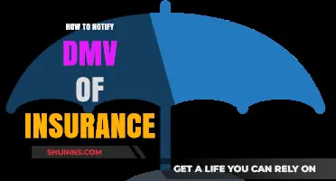 How to Notify DMV of Insurance: A Step-by-Step Guide