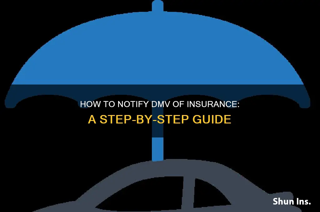how to notify dmv of insurance