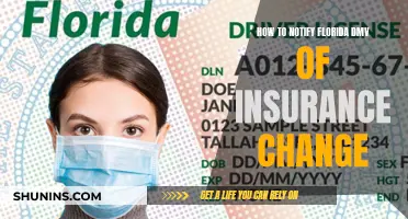 DMV Insurance Updates: Florida's Guide