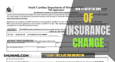 DMV Insurance Update: Quick and Easy