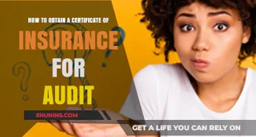 Steps to Secure a Certificate of Insurance for Audit Purposes