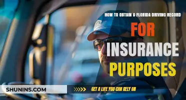 Obtaining a Florida Driving Record for Insurance: A Guide