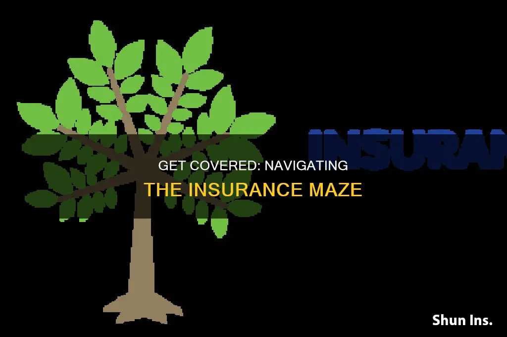 how to obtain insurance